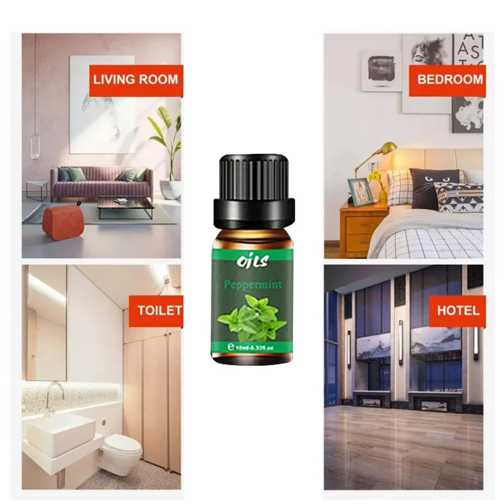 6-Piece Essential Oil Set with 6 Fragrance Options -Oils for Aromatherapy, Used For Diffuser Aroma Relax (Includes Eucalyptus,Va